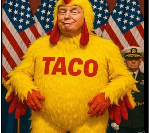 taco