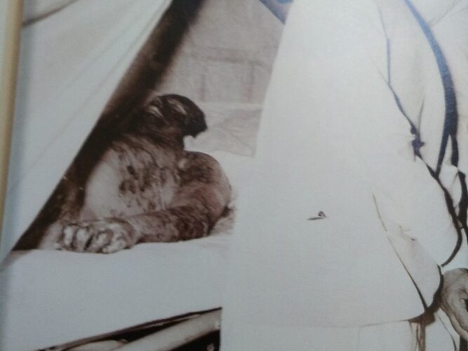 Prime Minister Lal Bahdur Shastri meeting Maj Bhupinder Singh, suffering from severe burns, in Army Hospital, Delhi