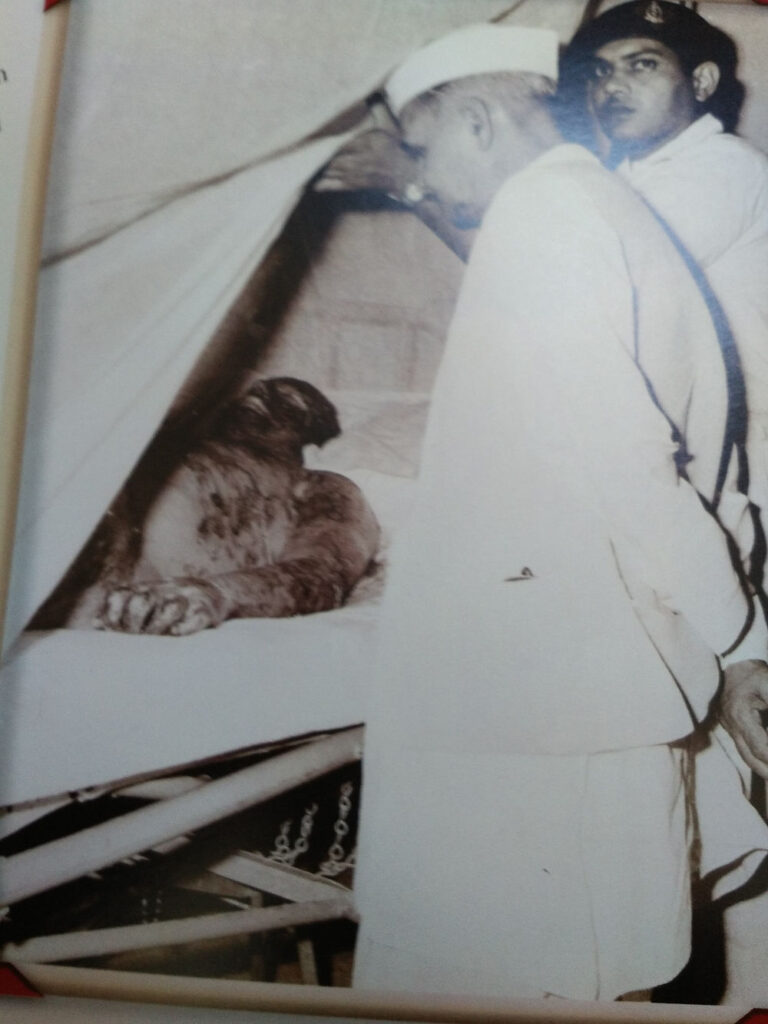 Prime Minister Lal Bahdur Shastri meeting Maj Bhupinder Singh, suffering from severe burns, in Army Hospital, Delhi (click to enlarge)